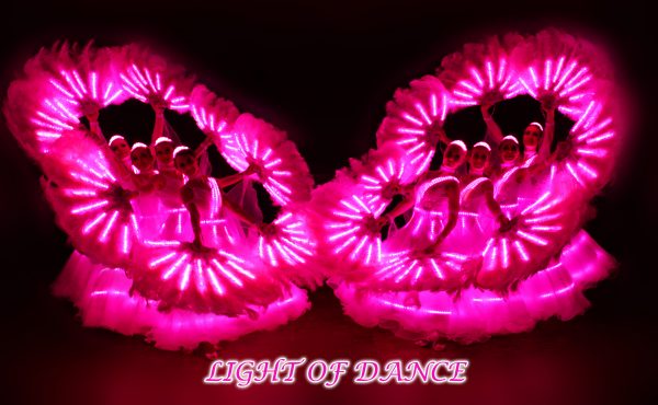 LED Dance Show Deutschland